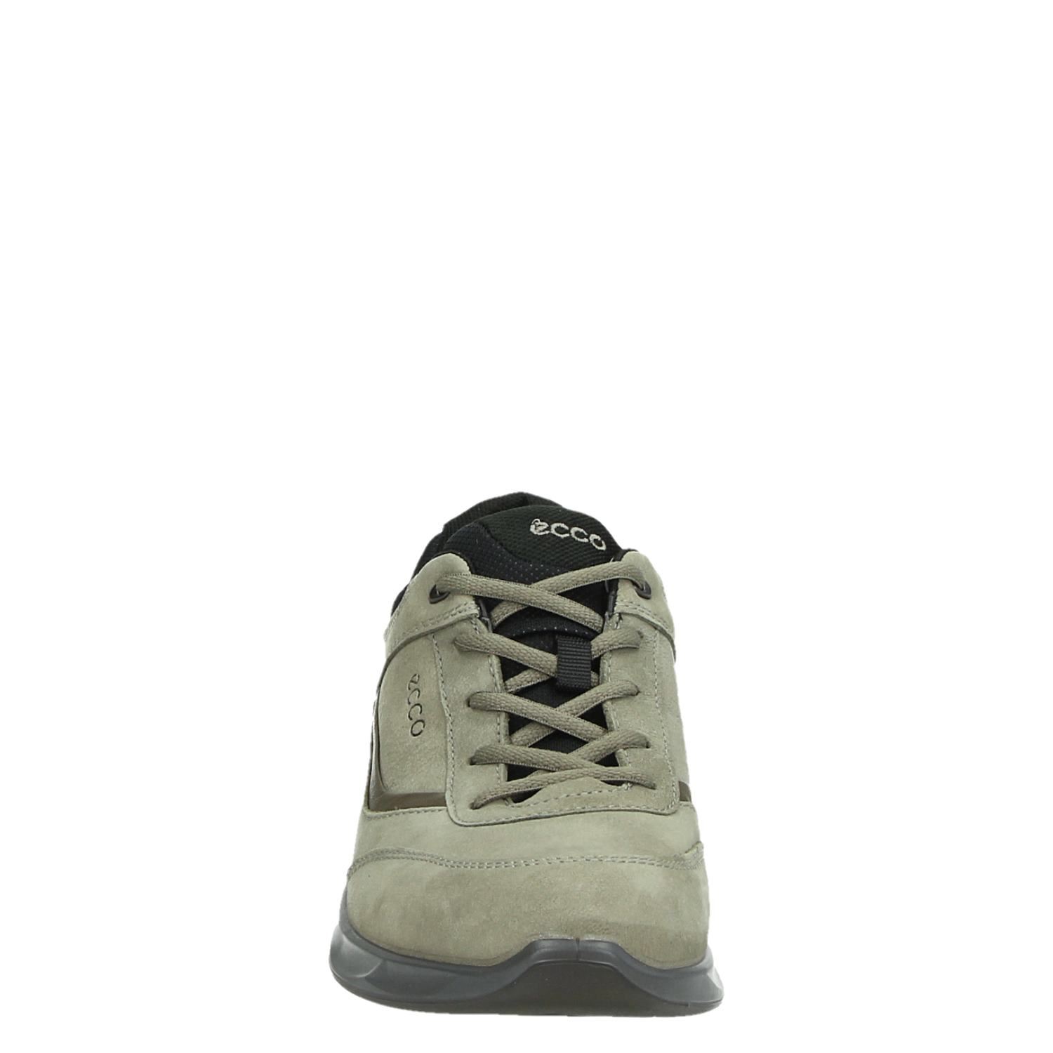 ecco wayfly heren