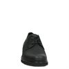Timberland Windbucks Oxford - Veterschoenen - Zwart