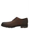 Timberland Windbucks Oxford - Veterschoenen - Bruin