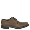 Timberland Stormbuck std