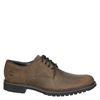 Timberland Stormbuck std - Veterschoenen - Bruin