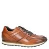 Greve - Lage sneakers - Bruin