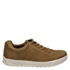 Ecco Byway