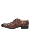 Dolcis - Lage nette schoenen - Bruin