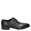 Ecco Citytray