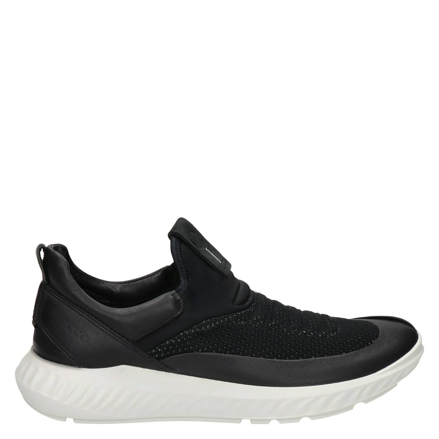 ecco skechers
