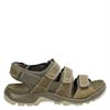 Ecco Offroad