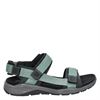 Ecco X-Trinsic