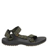 Teva Winsted