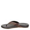 Reef Cushion Bounce Phant - Slippers - Bruin