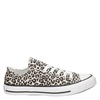Converse Chuck Taylor