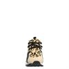 Steve Madden Cliff - Lage sneakers - Bruin