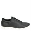 Ecco Cool