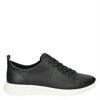 Ecco Flexure Runner