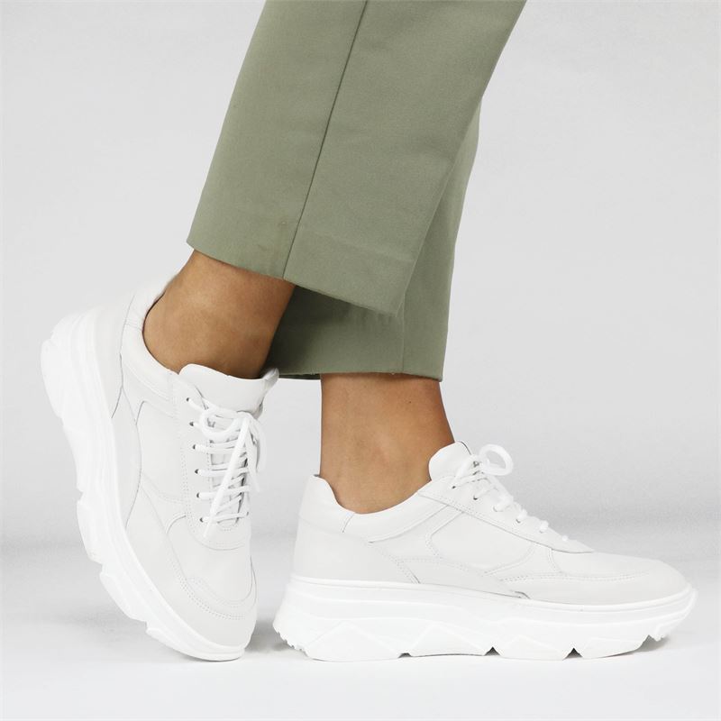 Nelson - Dad Sneakers - Ecru