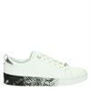 Ted Baker