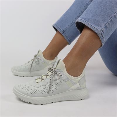 nelson ecco dames