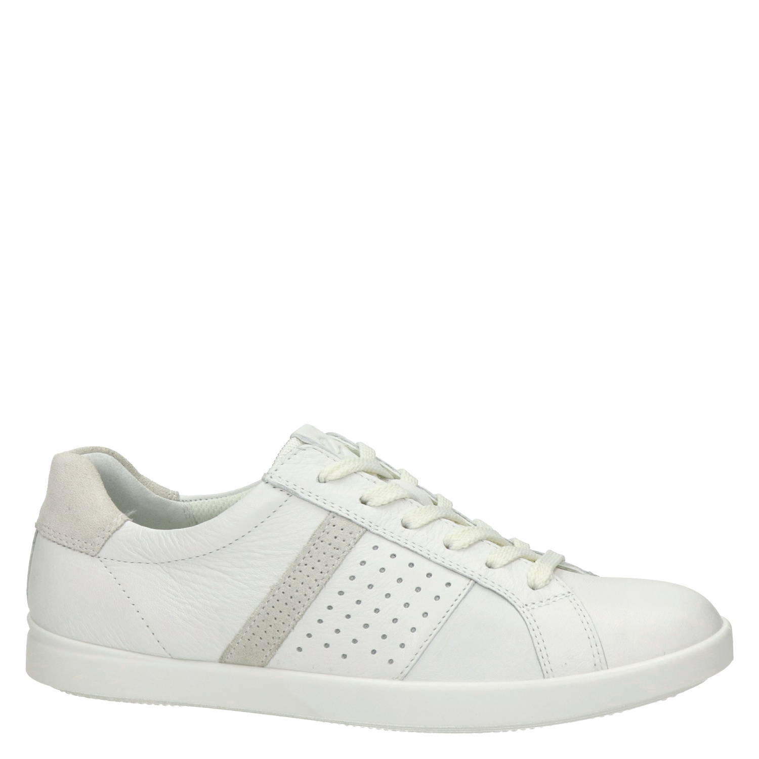ecco skechers