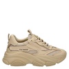 Steve Madden Possession