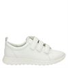 Ecco Flexure Runner