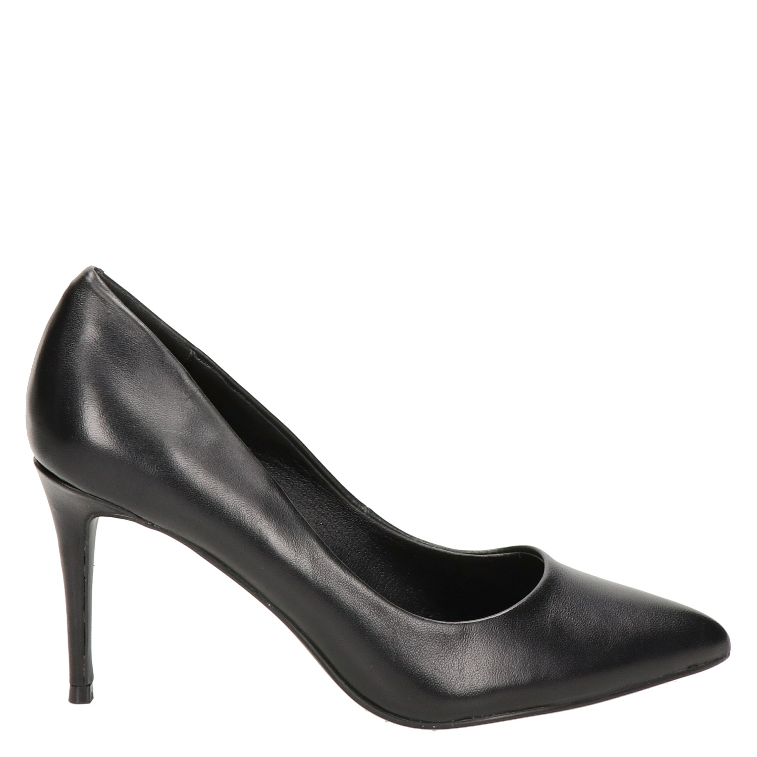 Steve Madden Lillie - Pumps voor dames - Zwart - Nelson.nl