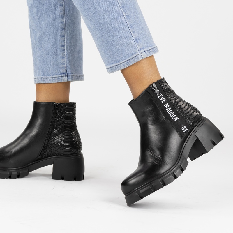 Steve Madden Gross-s - Rits- & gesloten boots - Zwart
