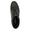 Timberland Allington - Veterboots - Zwart