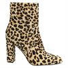 Steve Madden Editor L - Enkellaarsjes - Multi
