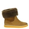 Ecco Crepetray