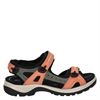 Ecco Offroad