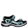 Ecco Offroad