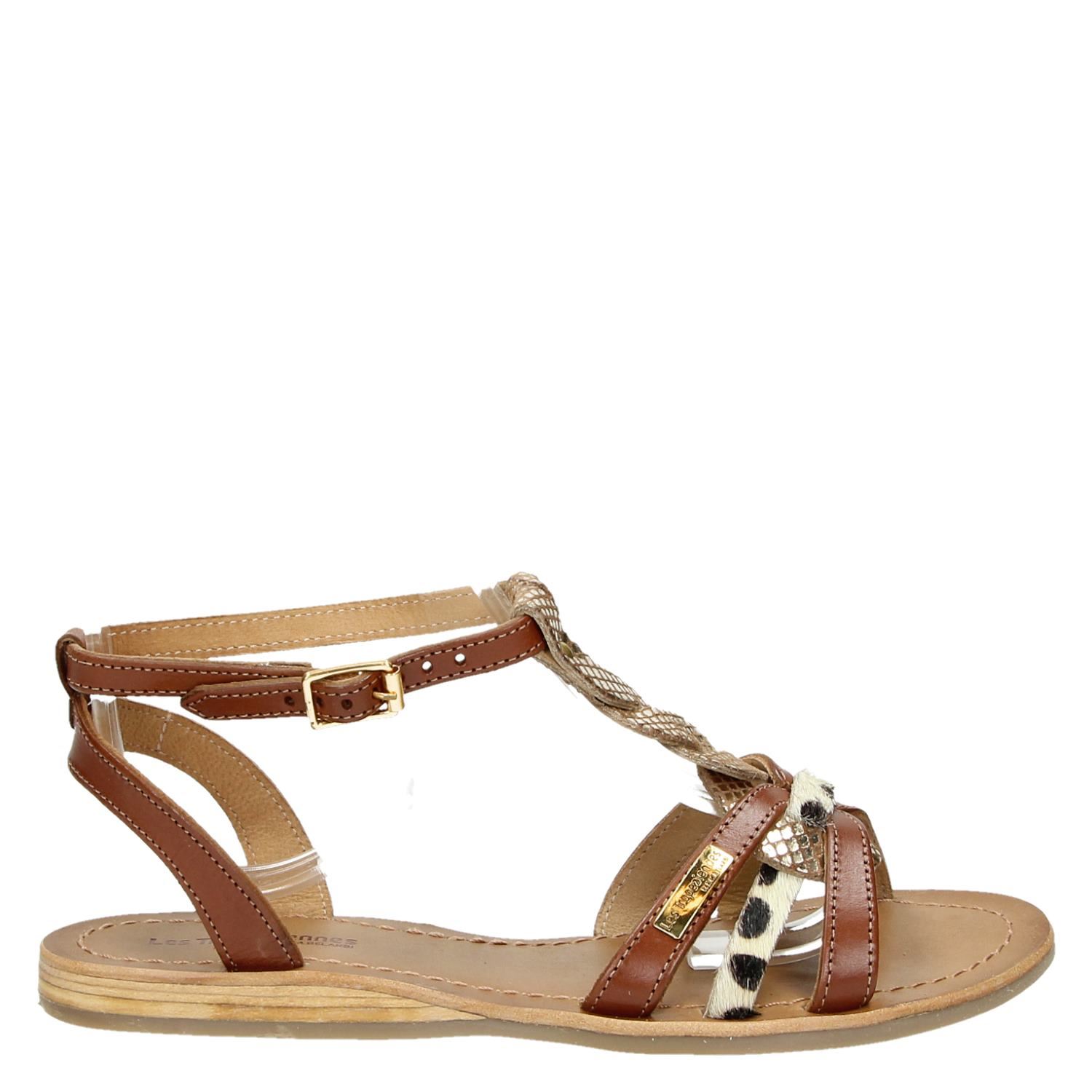 hams les tropeziennes