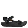 Teva W Sanborn Universal