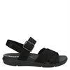 Timberland Wilesport