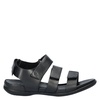 Ecco Flash