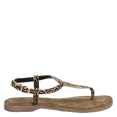 Lazamani Sandalen Bruin lazamani kopen in de aanbieding