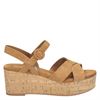 Toms Willow