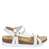 Panama Jack Sally Basics