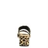 Steve Madden Keline - Slippers - Bruin