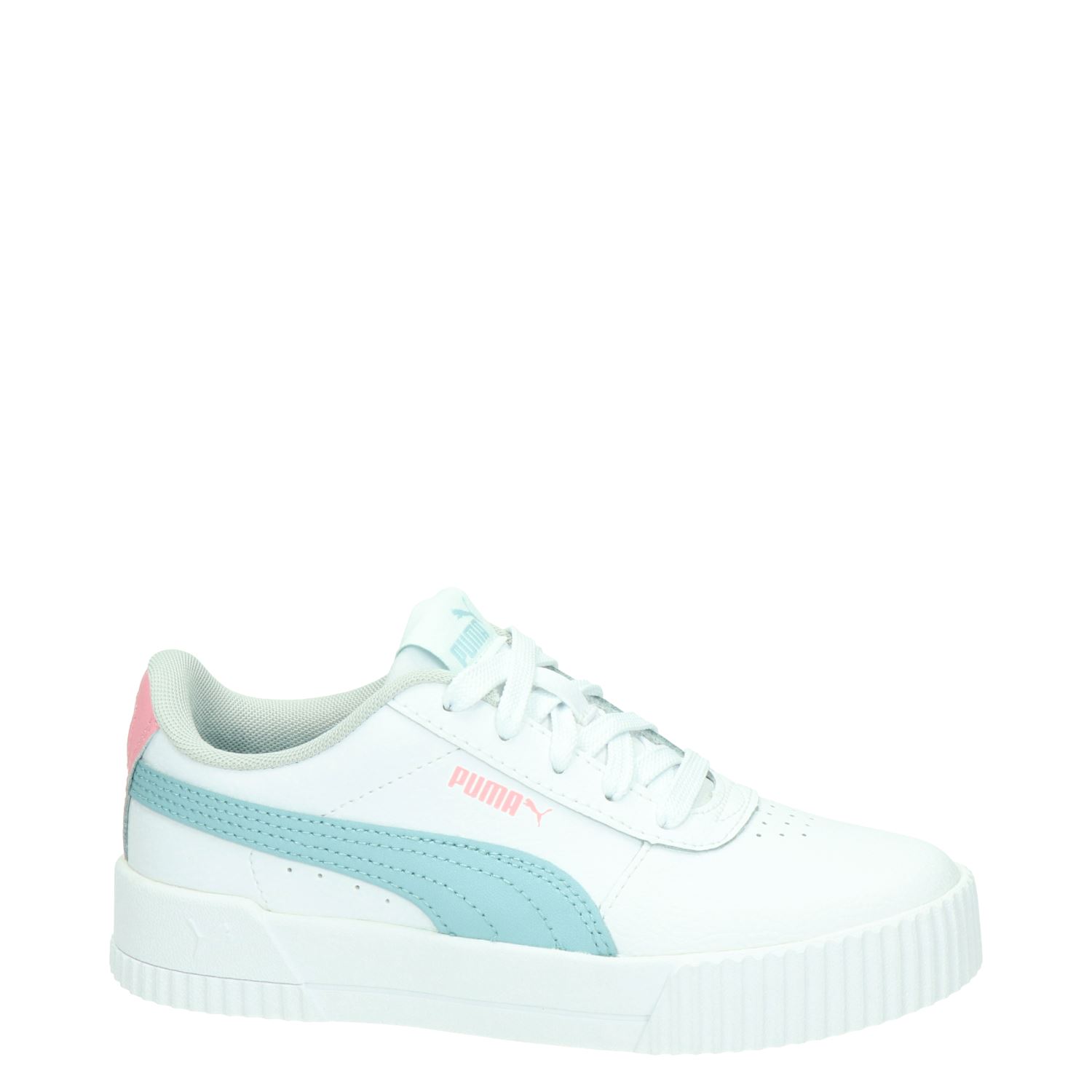 Puma Carina Puma Carina