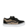 Vans Ward