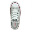 Converse Chuck Taylor - Lage sneakers - Zilver