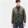 Timberland - Overig - Groen
