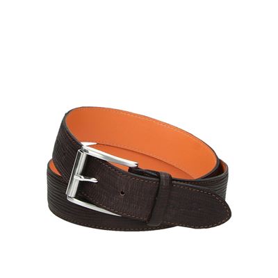 Van Lier R5503 - Riem - Bruin