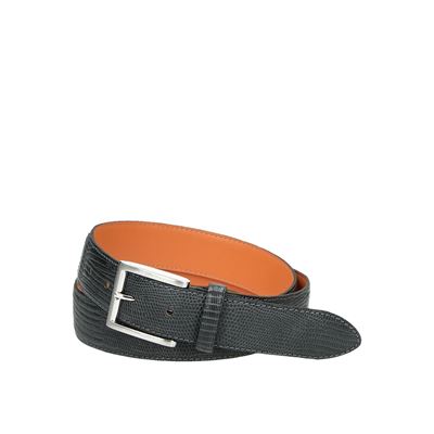 Van Lier R6050 - Riem - Grijs